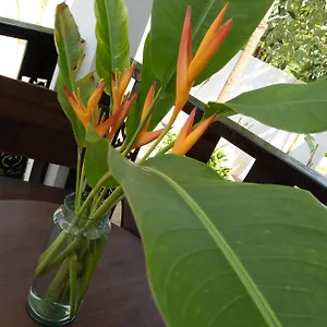 https://chalisa-villas.tophotelskohtao.com